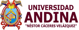 Universidad Andina Néstor Cáceres Velásquez